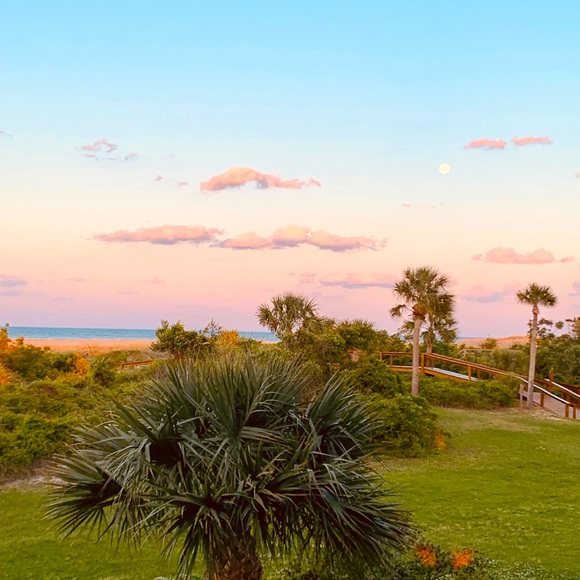 Meet your Posher, Karalynn - Picture 1 of 1